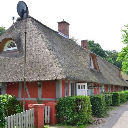 Wohnungen Unter Reet Krems Zwei Eksteriør billede